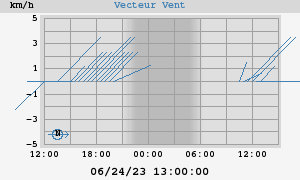 Wind Vector