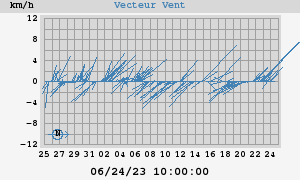 Wind Vector